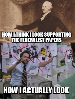 how-i-think-i-look-supporting-the-federalist-papers-how-i-actually-look