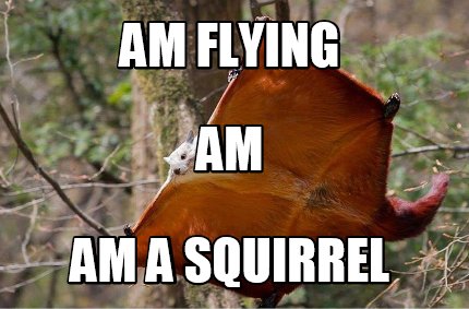 am-flying-am-a-squirrel-am