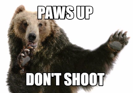 paws-up-dont-shoot8