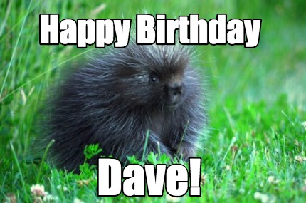 happy-birthday-dave10