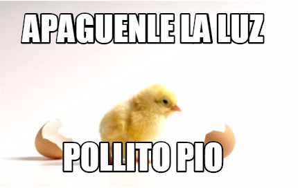 apaguenle-la-luz-pollito-pio