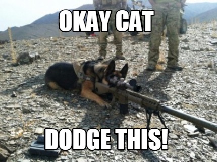 okay-cat-dodge-this