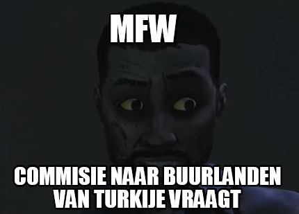 mfw-commisie-naar-buurlanden-van-turkije-vraagt