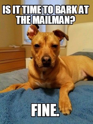 is-it-time-to-bark-at-the-mailman-fine