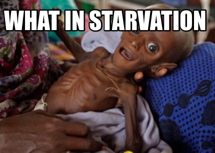 what-in-starvation