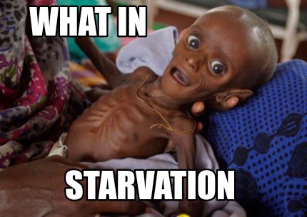 what-in-starvation1