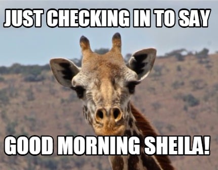 just-checking-in-to-say-good-morning-sheila