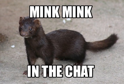 mink-mink-in-the-chat