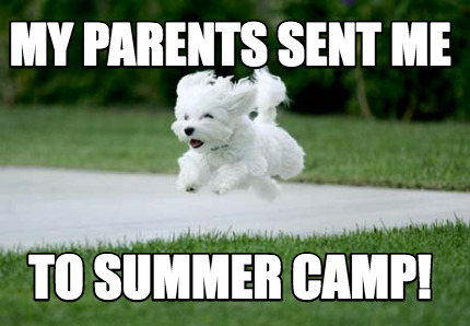my-parents-sent-me-to-summer-camp