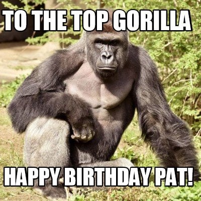 to-the-top-gorilla-happy-birthday-pat