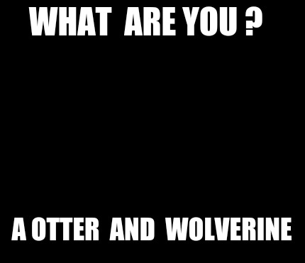what-are-you-a-otter-and-wolverine