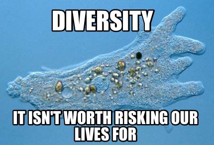 diversity-it-isnt-worth-risking-our-lives-for