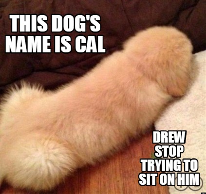 this-dogs-name-is-cal-drew-stop-trying-to-sit-on-him