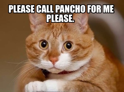 please-call-pancho-for-me-please