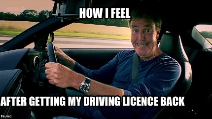 got my license memes