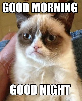 Meme Creator Funny Good Morning Good Night Meme Generator At Memecreator Org