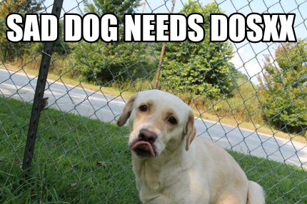 sad-dog-needs-dosxx