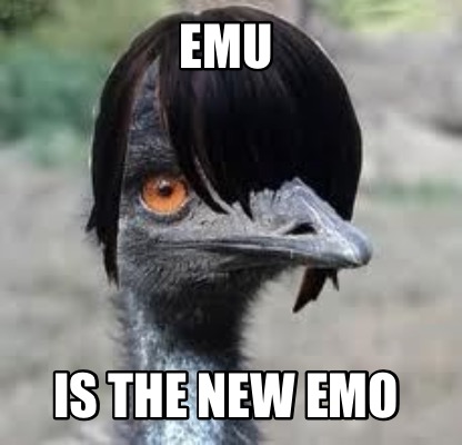 Emo Meme Photo