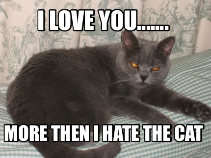 i-love-you.......-more-then-i-hate-the-cat