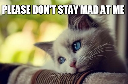 Meme Creator - Funny please don't stay mad at me Meme Generator at