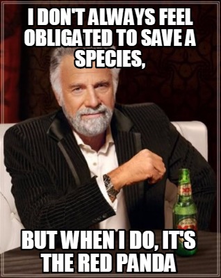 i-dont-always-feel-obligated-to-save-a-species-but-when-i-do-its-the-red-panda