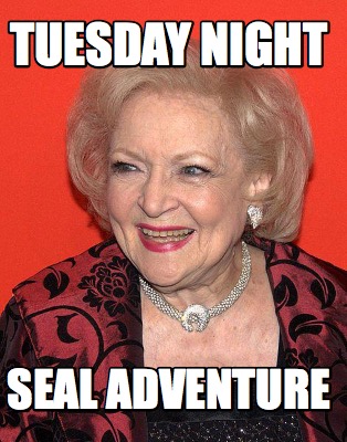 tuesday-night-seal-adventure