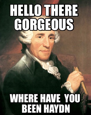 hello-there-gorgeous-where-have-you-been-haydn