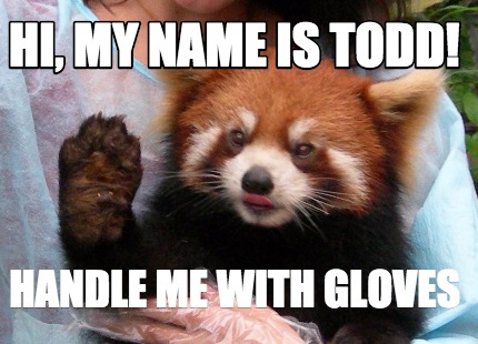 Meme Creator Funny Hi My Name Is Todd Handle Me With Gloves Meme Generator At Memecreator Org