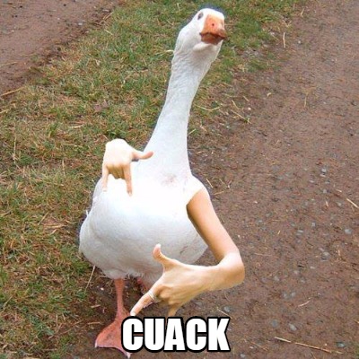 cuack