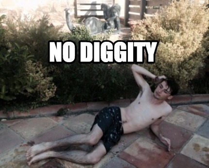 no-diggity4