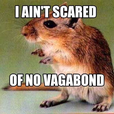 i-aint-scared-of-no-vagabond