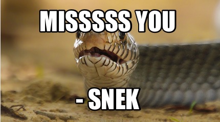 misssss-you-snek