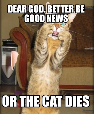 dear-god.-better-be-good-news-or-the-cat-dies