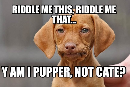 Meme Creator Funny Riddle Me This Riddle Me That Y Am I Pupper Not Cate Meme Generator At Memecreator Org