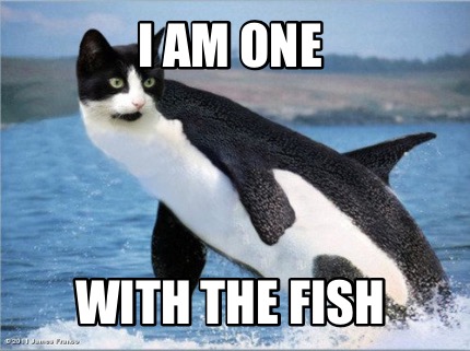 i-am-one-with-the-fish