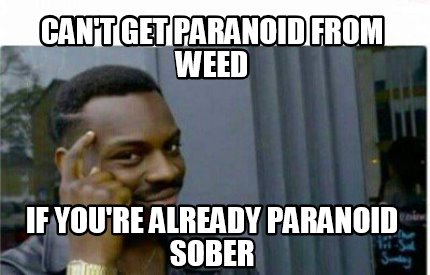Meme Creator Funny Can T Get Paranoid From Weed If You Re