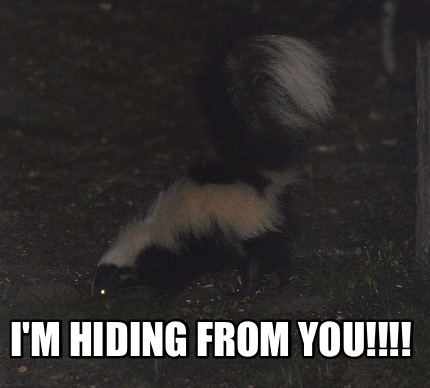 im-hiding-from-you