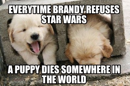 everytime-brandy-refuses-star-wars-a-puppy-dies-somewhere-in-the-world