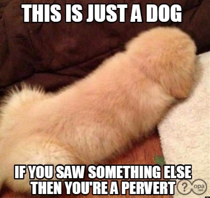 this-is-just-a-dog-if-you-saw-something-else-then-youre-a-pervert
