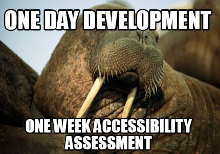 one-day-development-one-week-accessibility-assessment