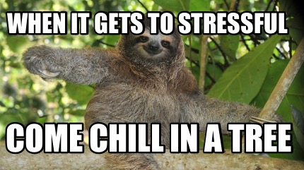 when-it-gets-to-stressful-come-chill-in-a-tree