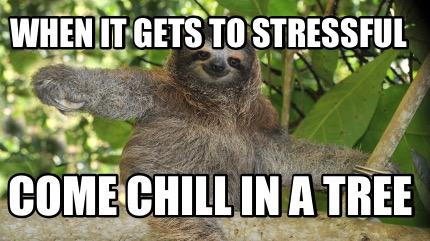 when-it-gets-to-stressful-come-chill-in-a-tree