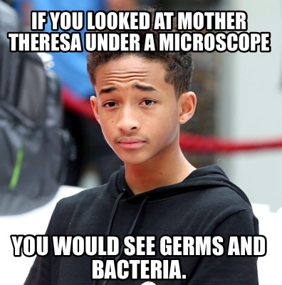 if-you-looked-at-mother-theresa-under-a-microscope-you-would-see-germs-and-bacte