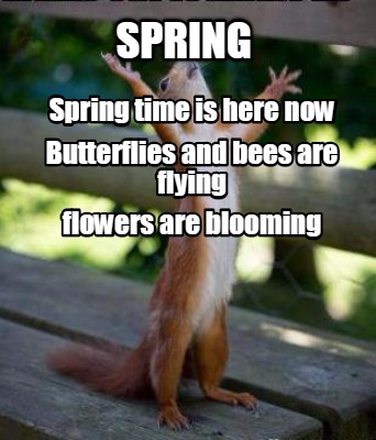 Meme Creator Funny Spring Spring Time Is Here Now Butterflies And Bees Are Flying Flowers Are Bloo Meme Generator At Memecreator Org Meme Creator Funny Spring Spring Time Is Here Now Butterflies And Bees Are Flying Flowers Are Bloo Meme Generator At Memecreator Org