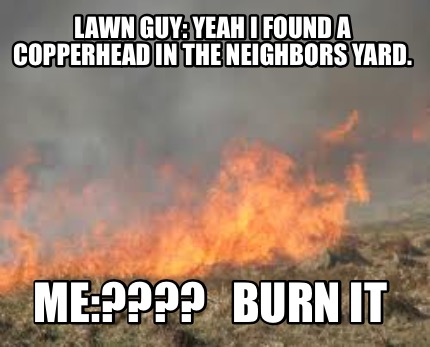 lawn-guy-yeah-i-found-a-copperhead-in-the-neighbors-yard.-me-burn-it
