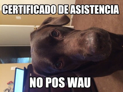 certificado-de-asistencia-no-pos-wau