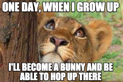 one-day-when-i-grow-up-ill-become-a-bunny-and-be-able-to-hop-up-there
