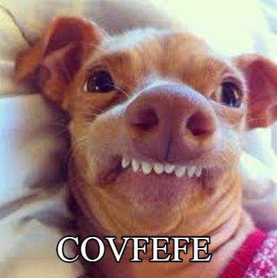 covfefe28