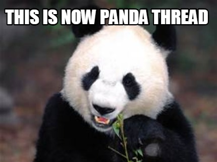 this-is-now-panda-thread