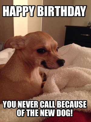 happy-birthday-you-never-call-because-of-the-new-dog
